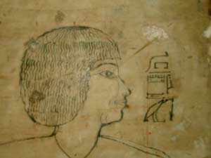 senenmut, instituto estudios antiguo egipto, egiptologia, egipto, proyecto senenmut, fransico martin valentin, teresa bedman, egisptologia,